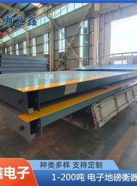 器大型lzx-DB00地磅工业地磅大型车辆称重用衡器电子示衡显器