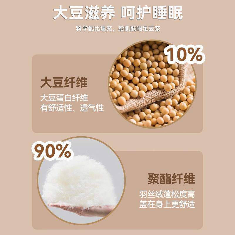 A厚类大豆纤维ZY-无印子被二四合一拉链款季通用加保暖母冬被芯春