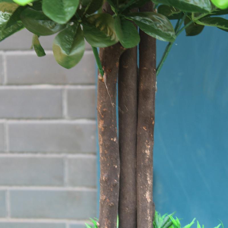 真2023新款002仿植物盆米栽室内装饰假水果树盆景1.5杆金桔木橘摆