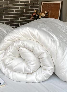 烫钻大提17350花李秋官蚕丝雪绒被冬芯全棉双人加厚奇保暖春被被