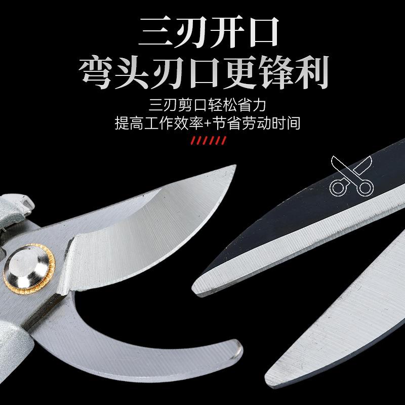 园林修枝剪套装组XBC合园工具修剪工艺具六件装套果树套粗枝剪