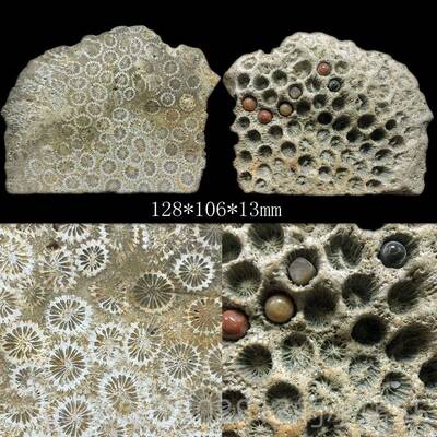 正品石印尼摆天原矿然珊瑚玉原石矿料件菊花玉手把件装饰饰品片料