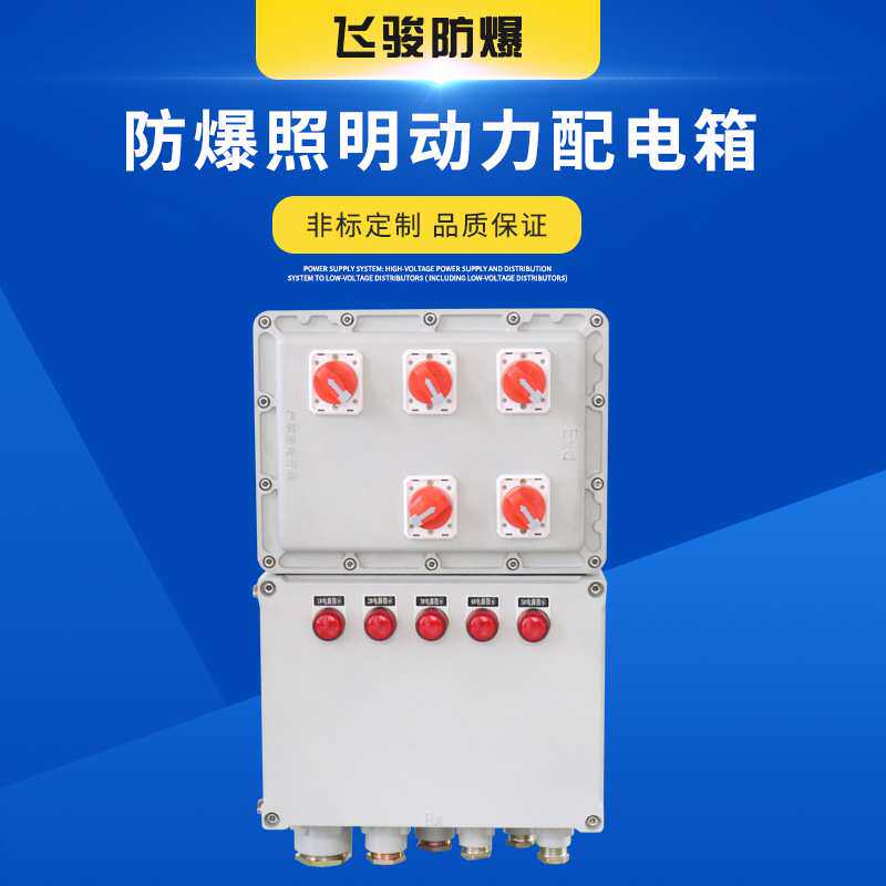 厂家定制防爆配电箱照明动力开关箱 防爆排水泵控制箱定做