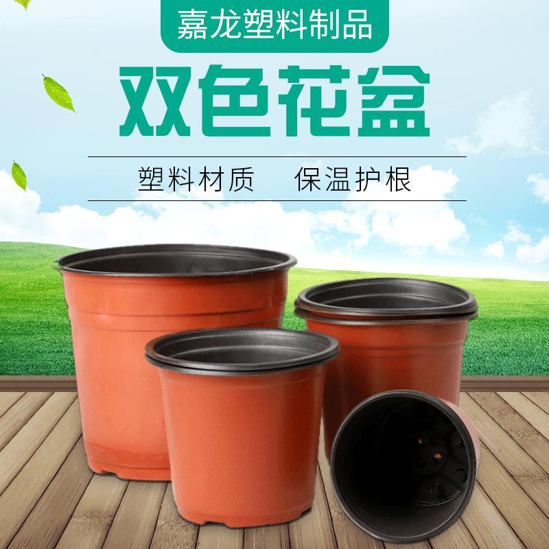 双色盆育苗盆 一次性育苗盆多肉绿植双色花盆育苗杯软吸塑料花盆