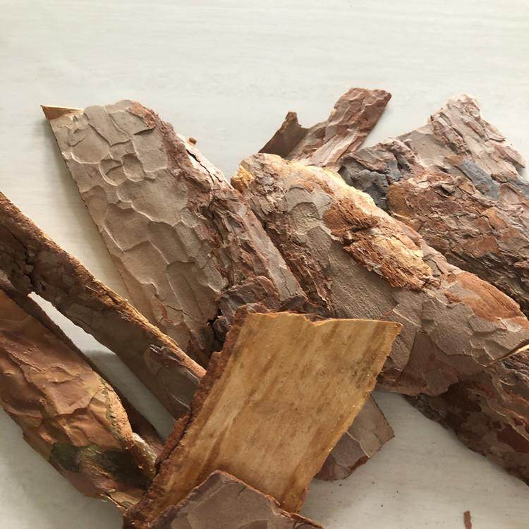 树皮滤料污水处用滤松理料绿化景观有机覆盖WMN物松树皮滤料,标准件/零部件/工业耗材,滤料,淘宝优惠券,粉丝福利购,淘宝优惠卷