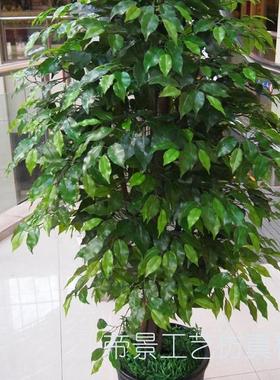 仿真大型杆感过胶手14588装盆饰榕树真树干塑料大景落地5布景花园