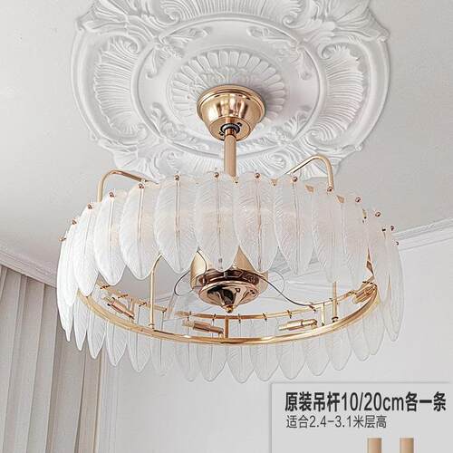 风扇灯扇一灯2024新款轻奢客毛吊厅现代267家用体卧室餐厅法式羽