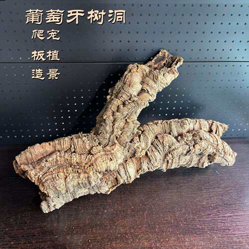 葡萄牙软木树皮树洞树桶爬虫躲避雨淋缸造景蝴蝶兰鹿角蕨板植