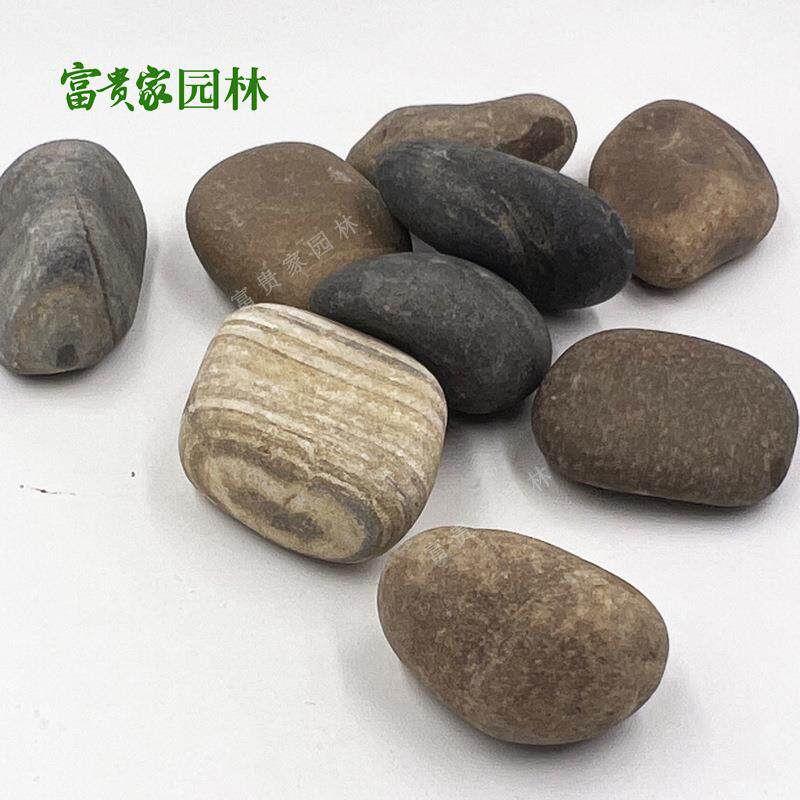 然卵石子人工湖底铺设鹅卵石石富花贵家园林造109景雨过滤天河卵