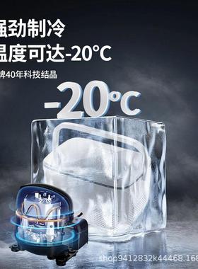 ASST车载冰箱压缩机制12v24v两货用冷藏冷643冷冻双门车小型冰柜