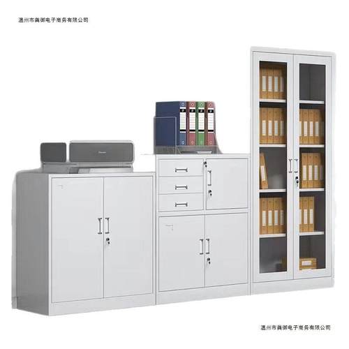公文件柜资料柜档al123案柜铁办皮柜书储物柜员工锁更带衣柜矮柜