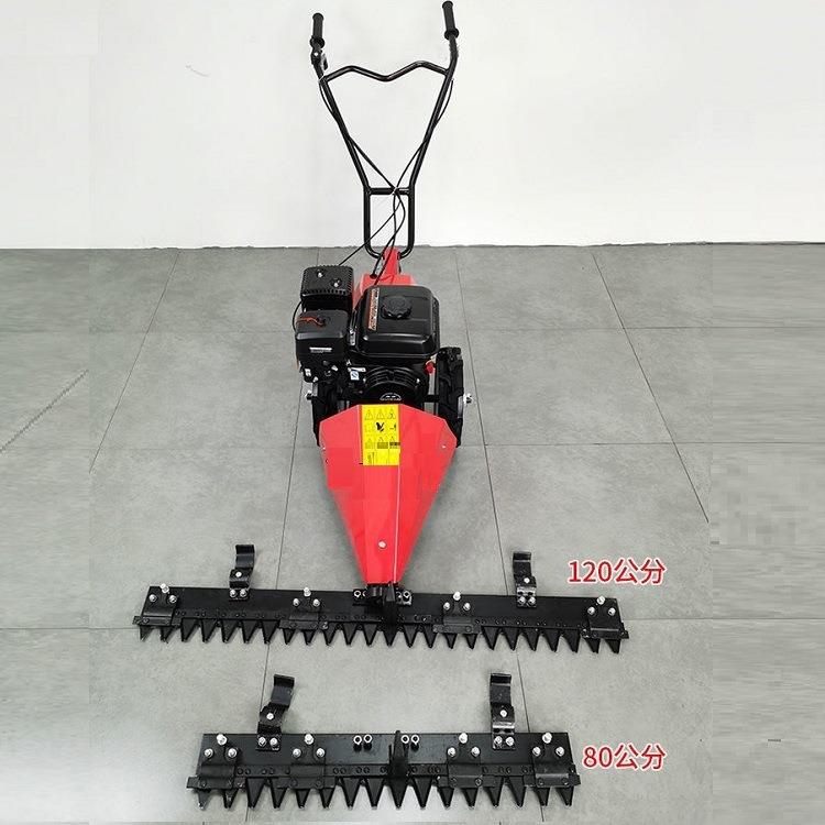 大马力小剪草汽机现货手推式草修坪剪机RHD柴油油型割草机