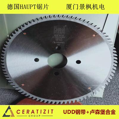 德国HAUPT电子4UTI开料锯片00*44*75*7锯2T.圆锯片PCD金刚石和钨