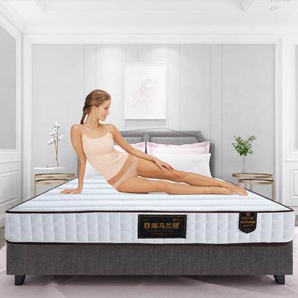 席梦思床垫加厚硬软硬两用20cm厚1.m8米YMC1.5双人垫经济型棕椰弹