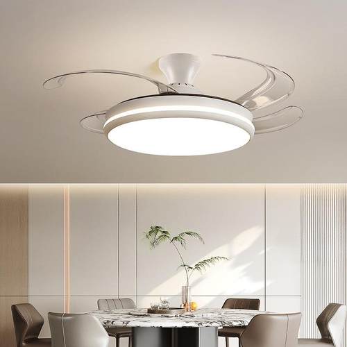 极简风扇灯2家025新款卧吊扇吸顶隐489形用客厅餐厅带电室扇一体