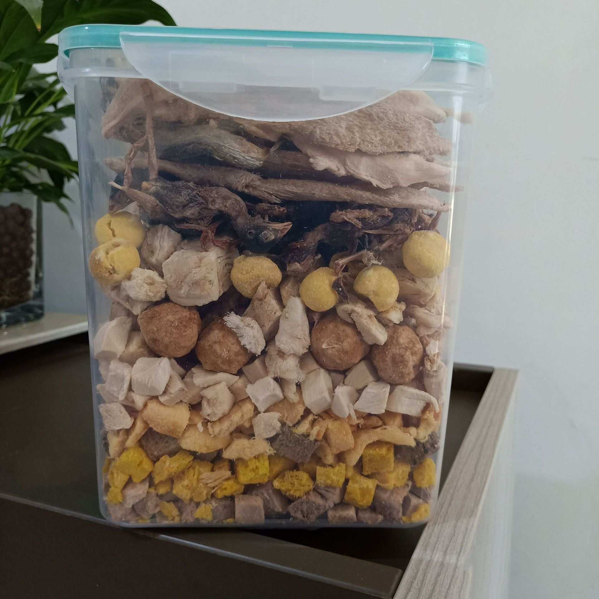 宠物零食混合桶鸡肉鸭肉三文鱼牛肉丸等11种500g桶装,模玩/动漫/周边/娃圈三坑/桌游,模型制作工具/辅料耗材,淘宝优惠券,粉丝福利购,淘宝优惠卷