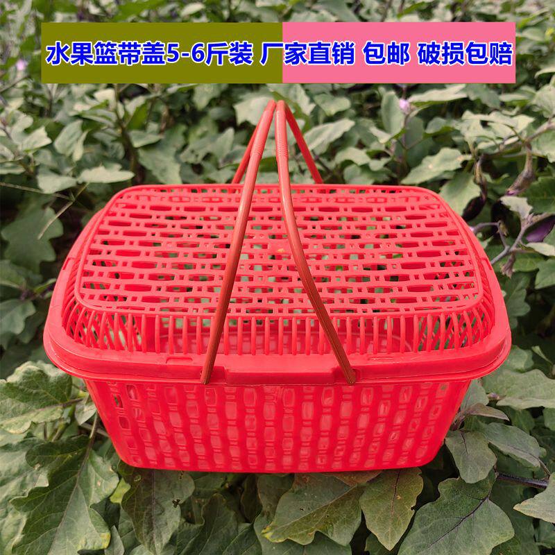 约6斤装水果篮子杨梅篮枇杷篮鸡蛋篮杨梅篮塑料水果篮子方篮胶框