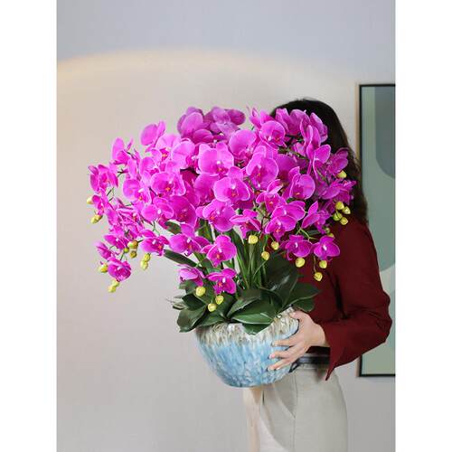 感保湿蝴兰花高品质手假花客厅电视柜餐F978S98M桌蝶摆设兰花大件
