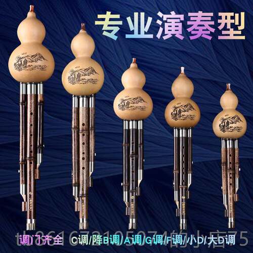 高档云人南紫竹葫丝乐专业演奏型芦成C调器降B调DAGF初学考级正品