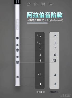 高档SONORA音 QUET哨笛阿拉伯阶调式风格D自然大省气抗调压S高亢