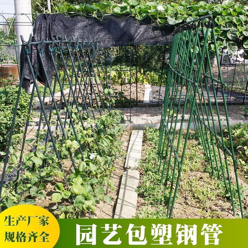 园艺支柱爬藤支架杆花支架植物支架庭院爬藤架瓜果种菜杆绿植