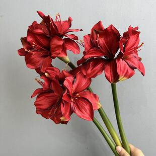 君子兰朱顶红 仿真花家居装饰花假花插花摆件拍摄孤挺花婚庆道具
