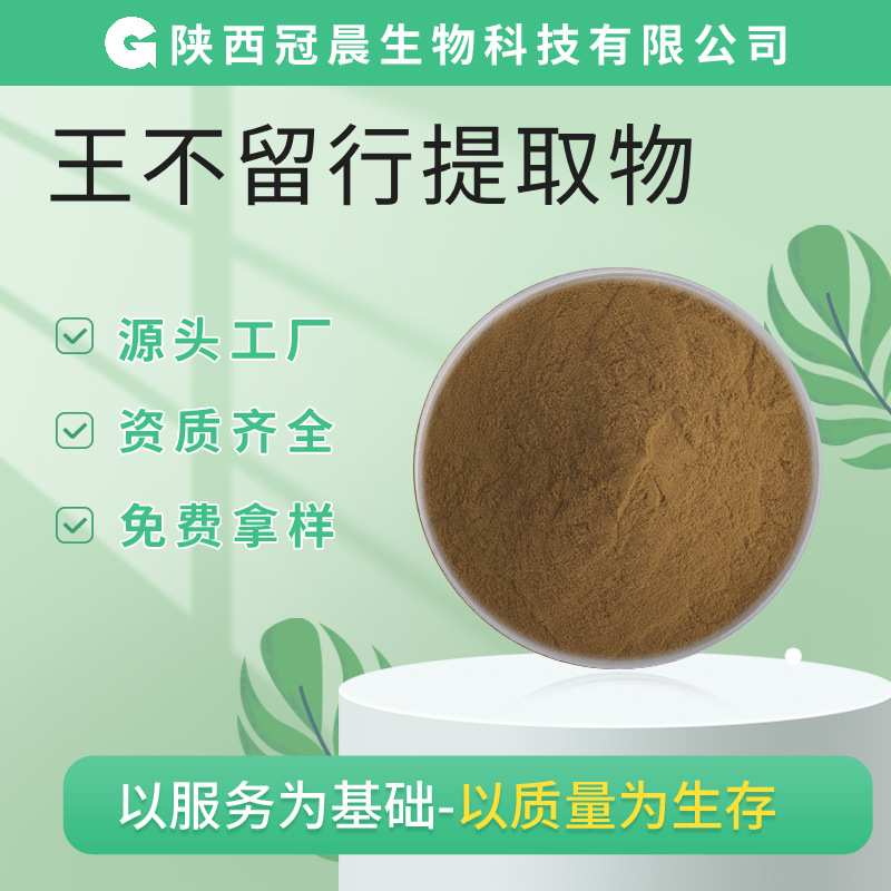 王不留行提取物30:1 王不留行粉水溶王不留行麦蓝菜籽提取物