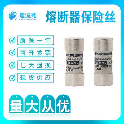 【熔断器保险丝】FR22GR69V32 A1018555 FR22GR69V40 B1018556