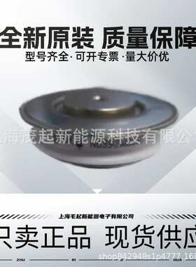 N0491WC080 N0491WC060 N0491WC040 N0491WC020 西玛可控硅