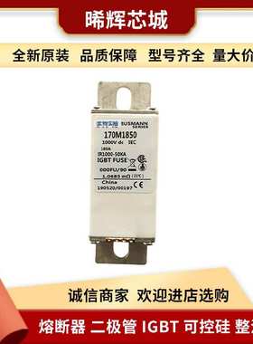 170M1850 170M3191 电子元器件 库存充足 巴斯曼直流快速熔断器