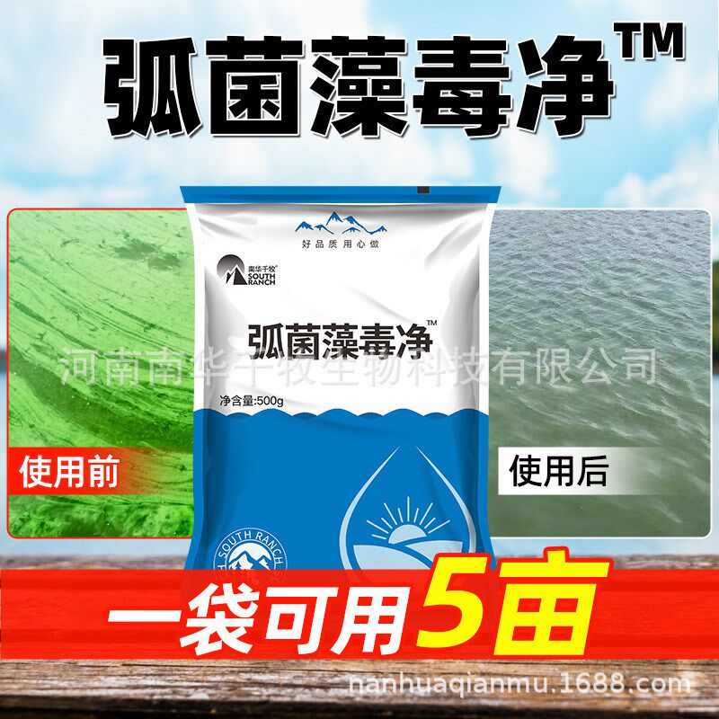 弧菌藻毒净生物菌种制抑弧菌吸收藻毒素龙虾蟹鱼塘水产养殖稳壮苗