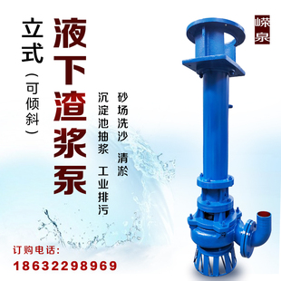 液下泥浆泵YZ立式渣浆泵ZJL清淤排污合金耐腐蚀定制加长单双管
