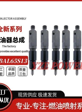KBAL65S13喷油器道依茨发动机2233085喷油泵0432291753