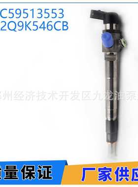 A2C59513553共轨柴油喷油器7H2Q-9K546-CB适用于路虎发动机2.7 TD