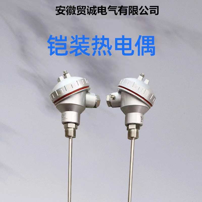 贸诚仪表热电偶 WRN-130 K型 L=950 0-1100℃ 1Cr18Ni9Ti