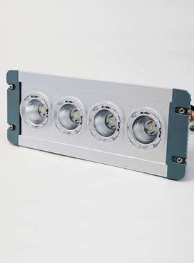 NFC9121三防灯过道灯ZGD202低顶灯LED应急顶灯地沟灯NFE9121