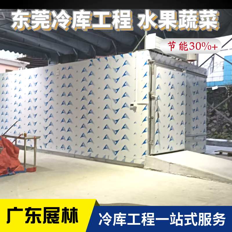 东莞下桥水果冷库工程气调冷库智能温控抑制果蔬呼吸延长保鲜周期