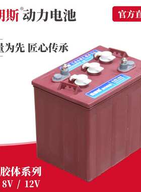 火炬电动车电池 电动观光车蓄电池 3-DG-180（3-EV-160）6V180Ah