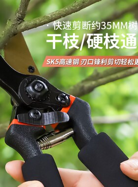 新款工艺SK5修枝剪园艺剪树枝专用剪刀花艺剪花剪树剪子果树花木