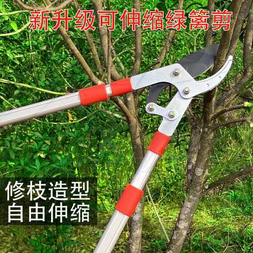 园艺剪刀SK5钢-鲨鱼口粗枝剪强剪切绿化修枝花艺工具伸缩绿篱枝剪