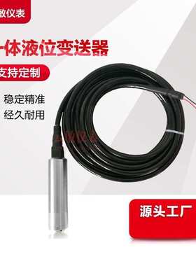 PM500一体液位变送器扩散硅传感器水位计液位计