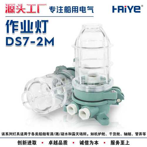船用工程塑料白炽作业灯DS7-2M吸灯式露天场所甲板照明灯220V 60W