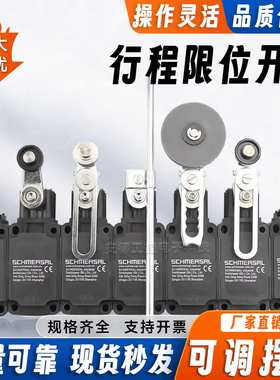 施*赛行程限位开关Z4VH 336-02Z-M20 T4VH 336-02ZH-M20 02YR U90