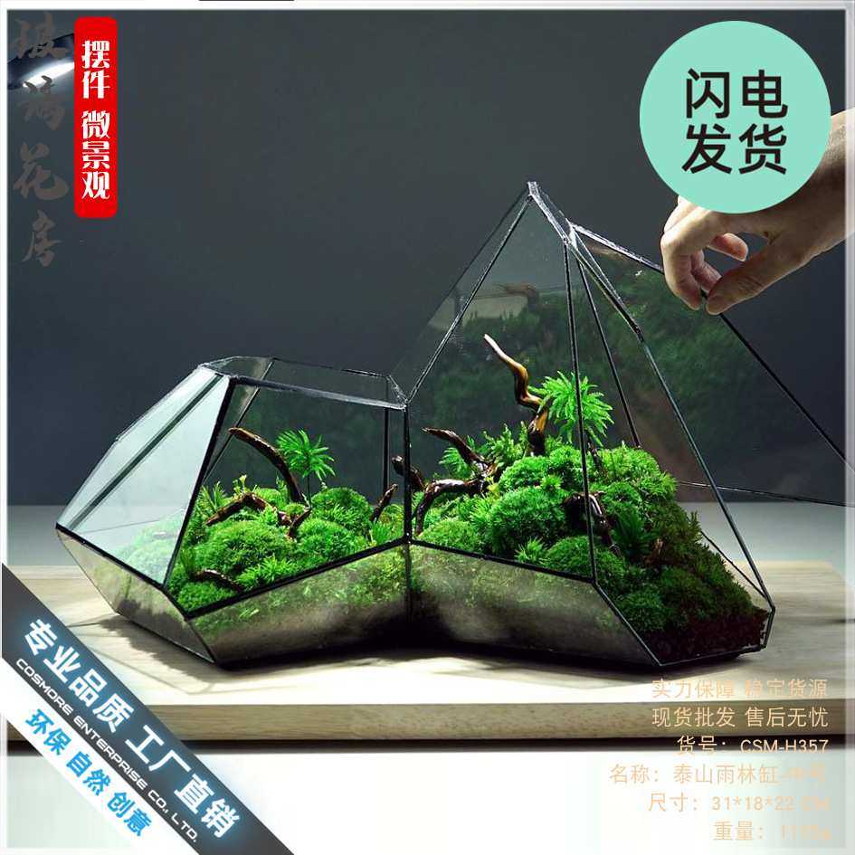 微景观苔藓雨林缸几何森林墙玻璃花房不规则生态瓶多肉水草缸花盆