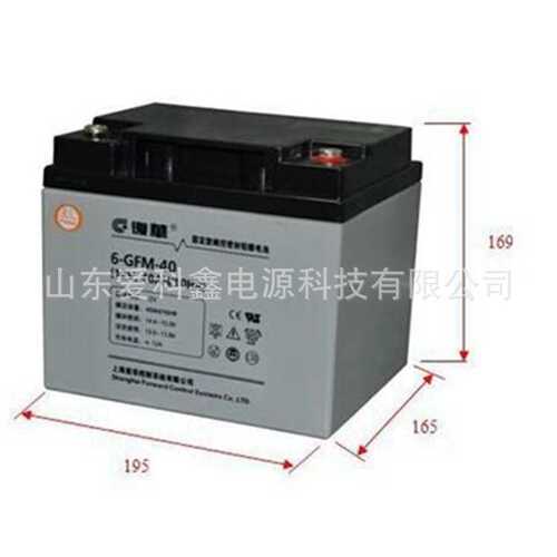 复华蓄电池12V40AH 保护神蓄电池6-GFM-40UPS直流屏EPS免维护电池