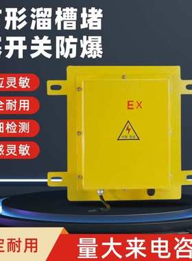 适用LDM-Y防爆方形溜槽堵塞检测器LDM-G 堵煤堵料开关DS-I2FII KB