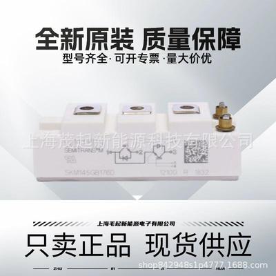 SKM300GB176D SKM200GB174D SKM145GB176D SKM100GB17E4