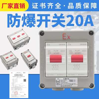 三相防爆开关20A220V380V防爆防水防尘BPZ30-20/2K3K防爆断路器