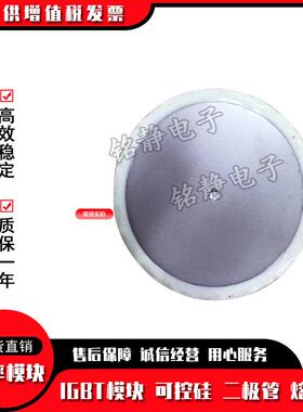 56DN02 56DN04 56DN06 65DN06平板晶闸管模块