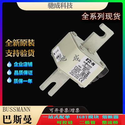 巴斯曼170M5263 170M5264 170M5265 现货供应质优价廉 快速保险丝